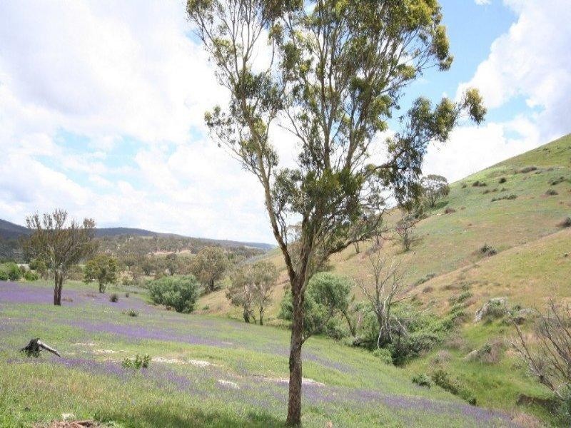 Wisemans Creek NSW 2795