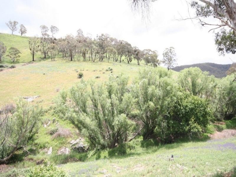 Wisemans Creek NSW 2795