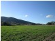 Tarana NSW 2787