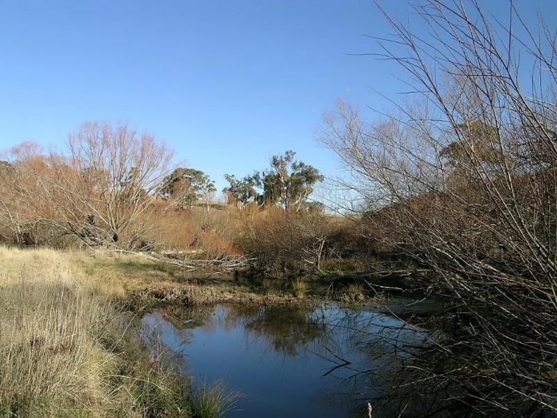 Tarana NSW 2787
