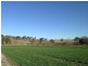 Tarana NSW 2787
