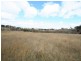 Tarana NSW 2787