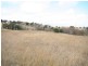 Tarana NSW 2787