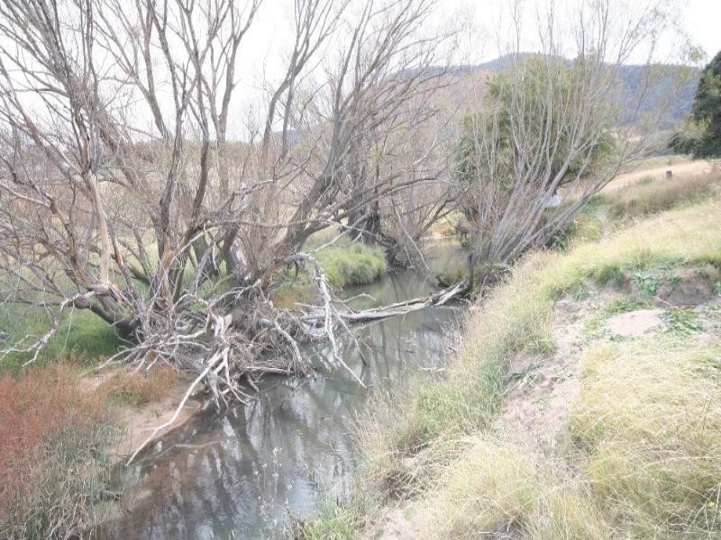Tarana NSW 2787