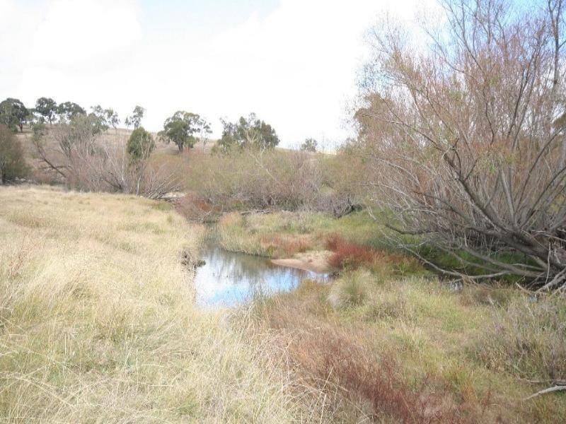 Tarana NSW 2787