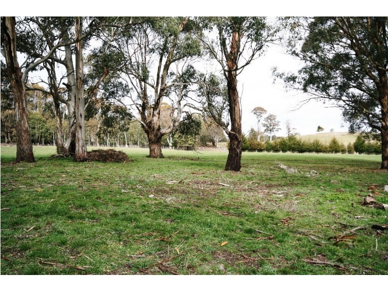 Black Springs NSW 2787