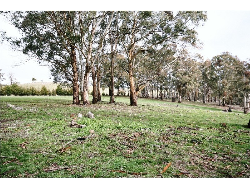 Black Springs NSW 2787