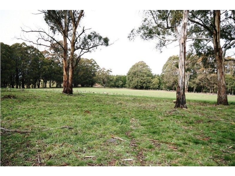 Black Springs NSW 2787