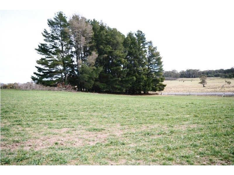 Black Springs NSW 2787