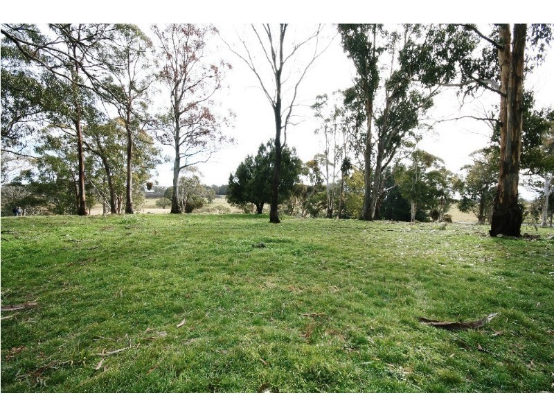 Black Springs NSW 2787