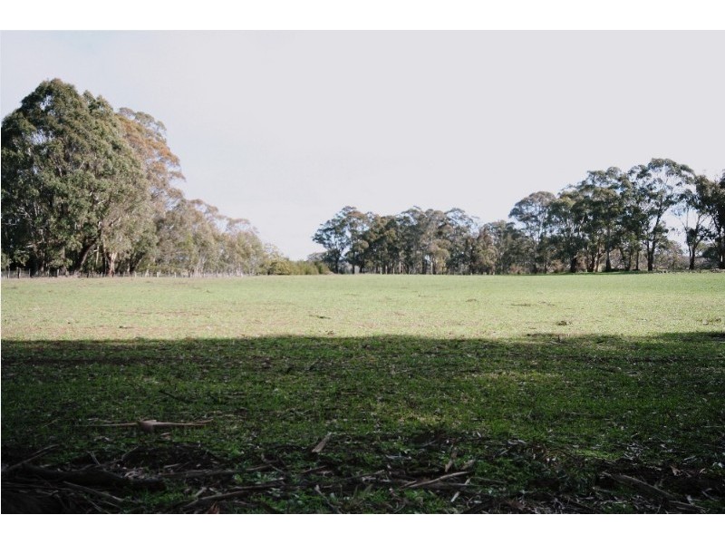 Black Springs NSW 2787