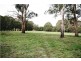 Black Springs NSW 2787