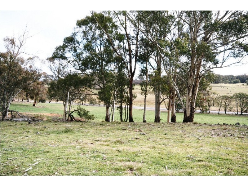 Black Springs NSW 2787