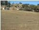2365 Darbys Falls Road, Darbys Falls NSW 2793