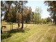 2218 Abercrombie Road, Black Springs NSW 2787