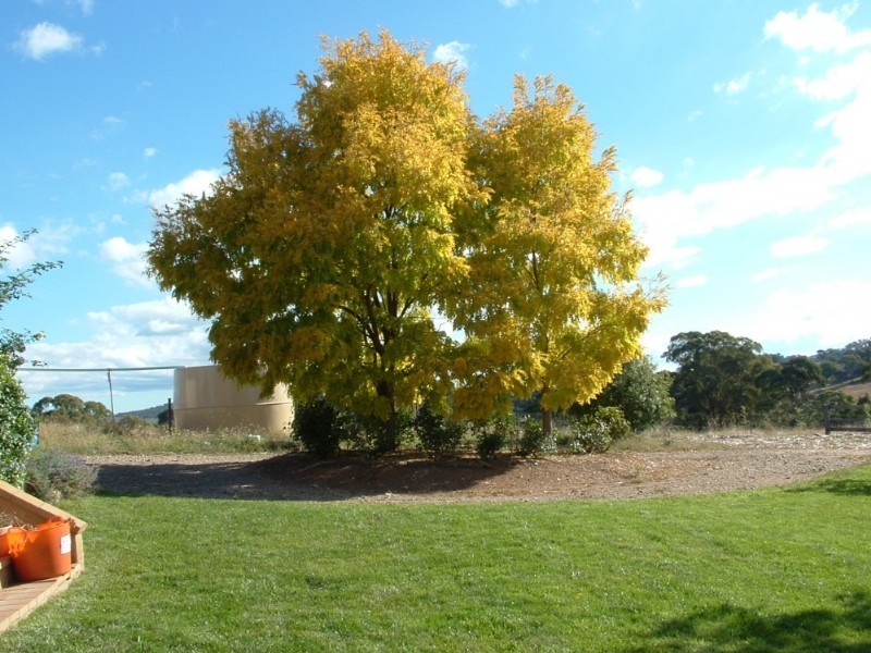 Wisemans Creek NSW 2795