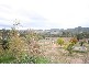 Wisemans Creek NSW 2795