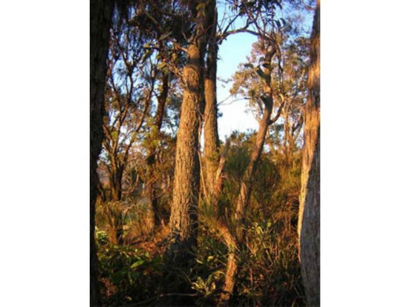 34 Narrow Neck Road, Katoomba NSW 2780