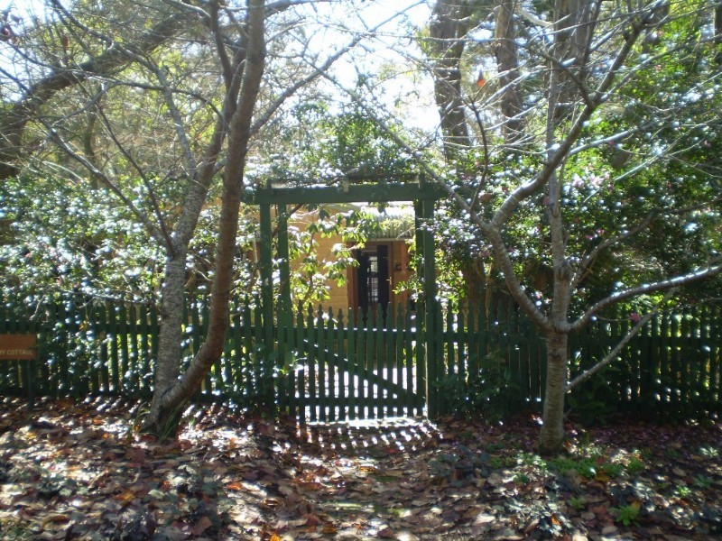 Wentworth Falls NSW 2782