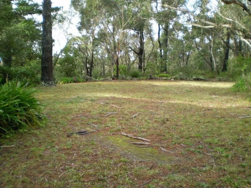 Wentworth Falls NSW 2782