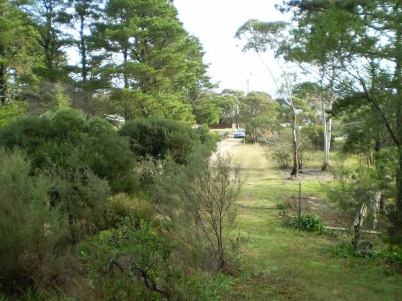 Wentworth Falls NSW 2782