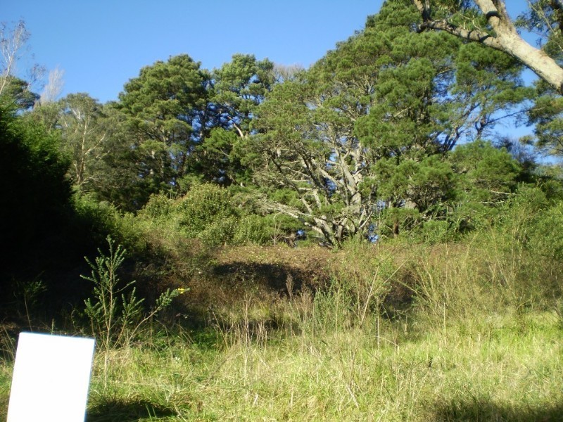 3 Kings Road, Leura NSW 2780