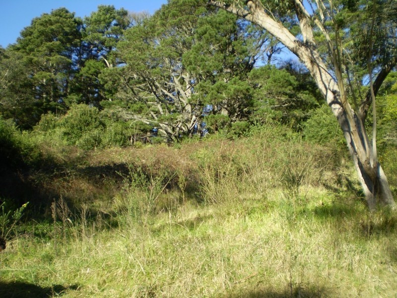 3 Kings Road, Leura NSW 2780