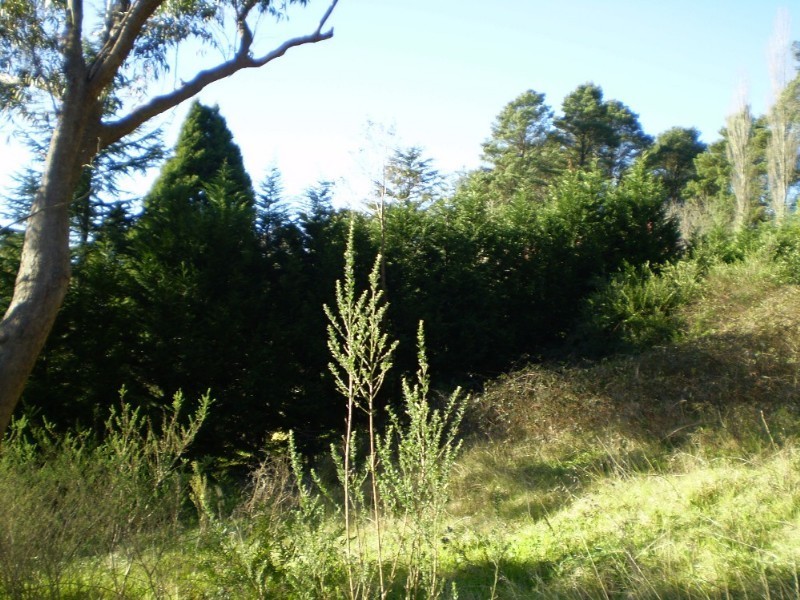 3 Kings Road, Leura NSW 2780