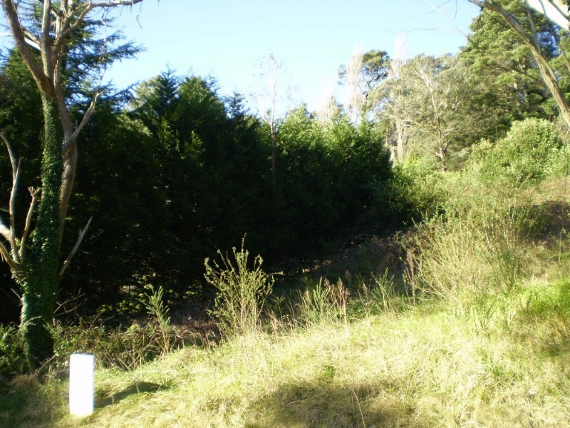 3 Kings Road, Leura NSW 2780