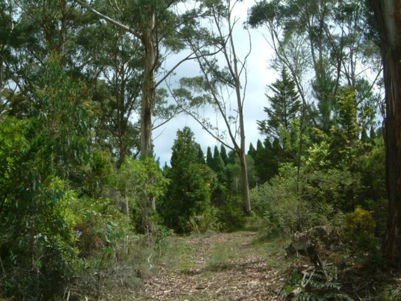 8 Rawson Parade, Leura NSW 2780