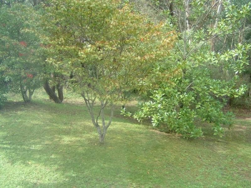 17 Waimea Street, Katoomba NSW 2780