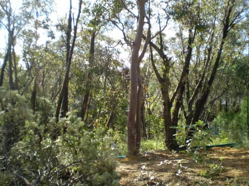 Lot 1 The Links Road, Leura NSW 2780