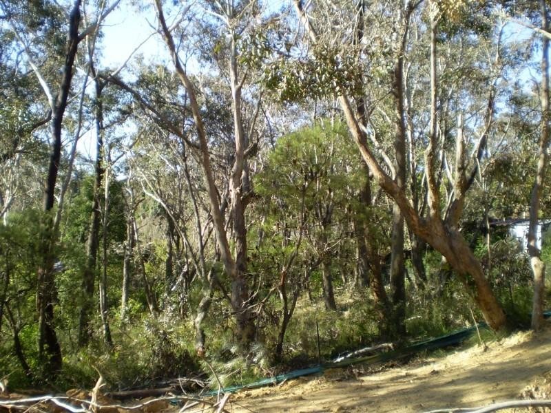 Lot 1 The Links Road, Leura NSW 2780