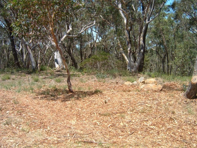 5-7 Daintrey Street, Wentworth Falls NSW 2782