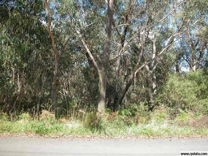 53 Wilson Street, Katoomba NSW 2780