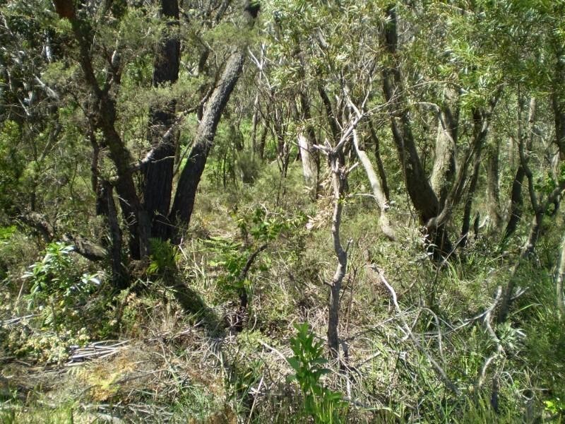 53 Wilson Street, Katoomba NSW 2780