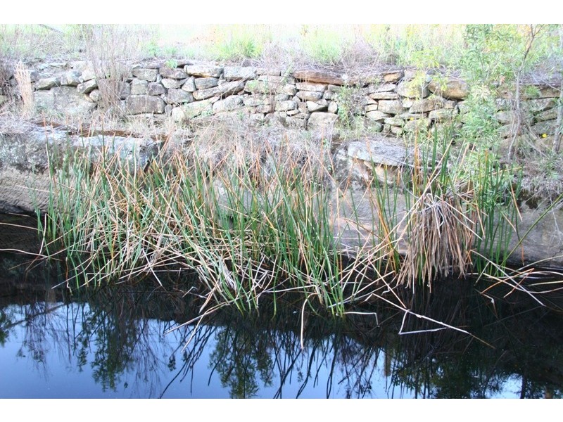 Faulconbridge NSW 2776