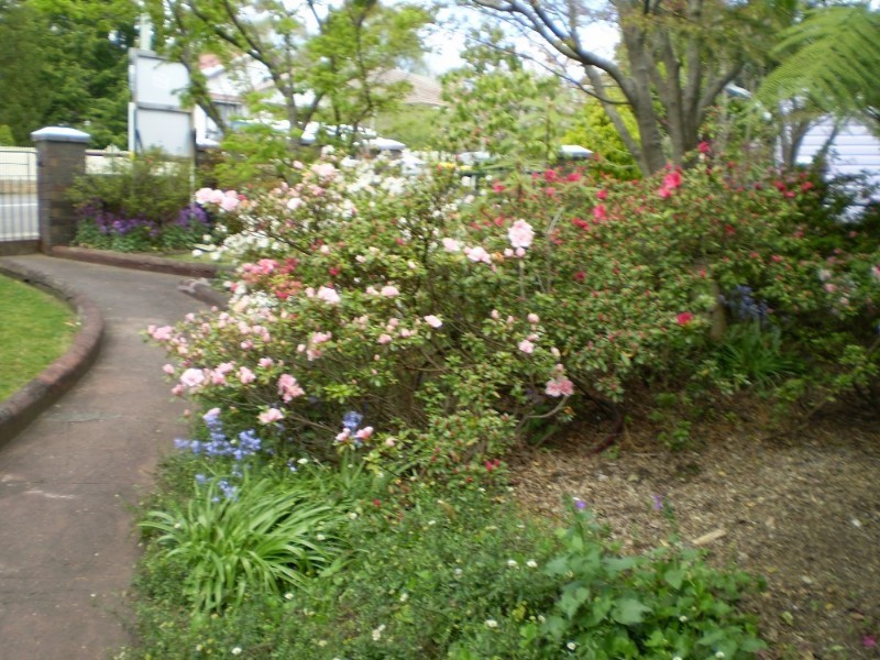 123 Lurline Street, Katoomba NSW 2780