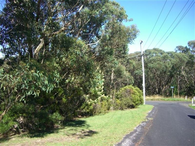 82 Bate Street, Wentworth Falls NSW 2782