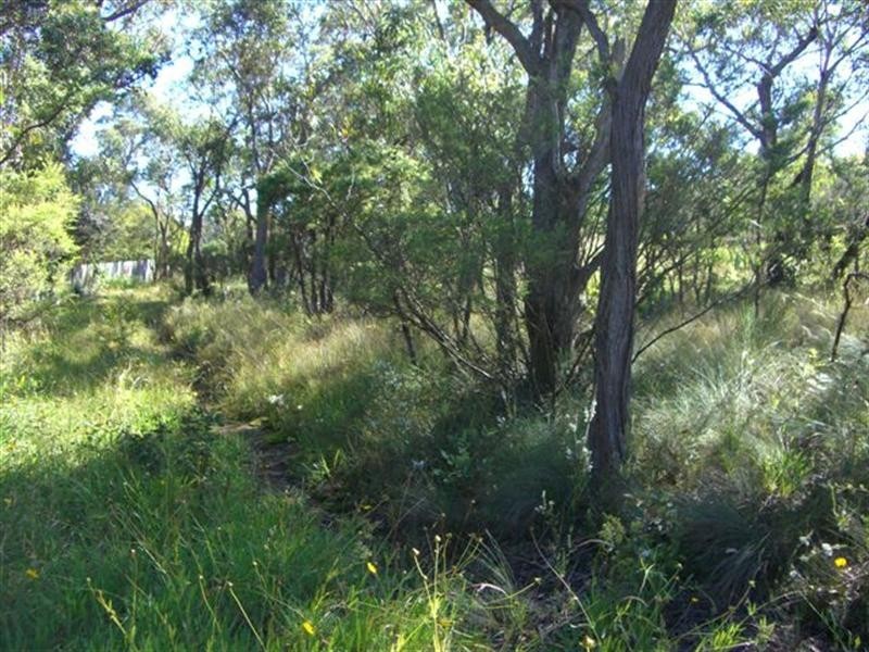 82 Bate Street, Wentworth Falls NSW 2782