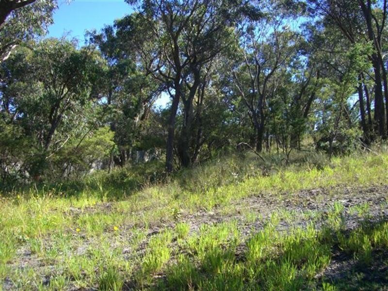 82 Bate Street, Wentworth Falls NSW 2782