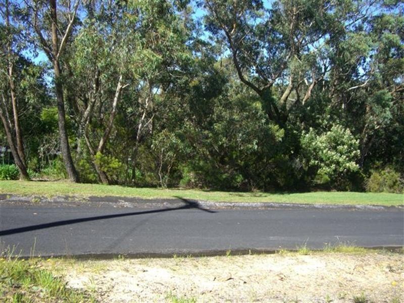 82 Bate Street, Wentworth Falls NSW 2782