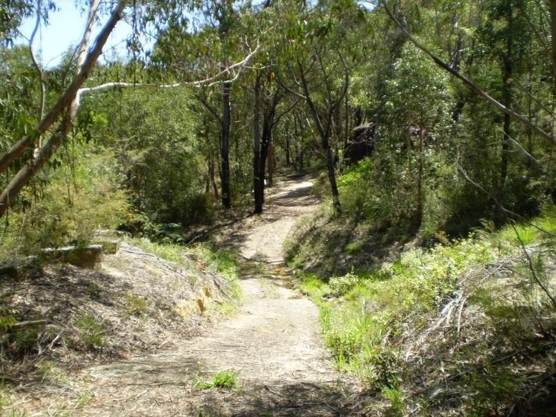 83 Bee Farm Road, Springwood NSW 2777