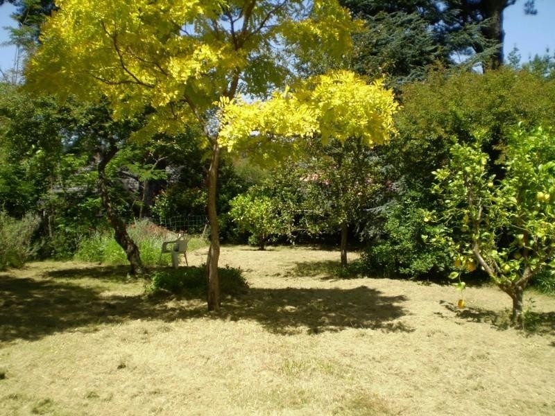 16 Stephens Street, Katoomba NSW 2780