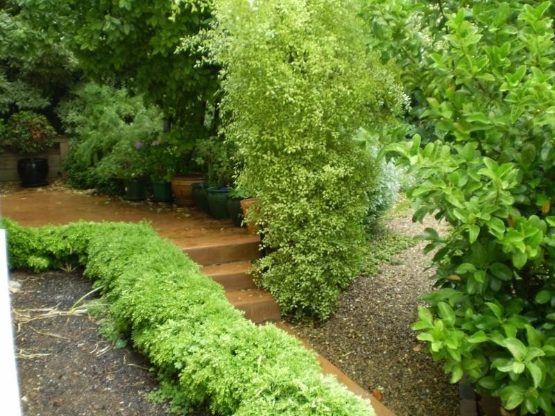 20 Malvern Road, Leura NSW 2780