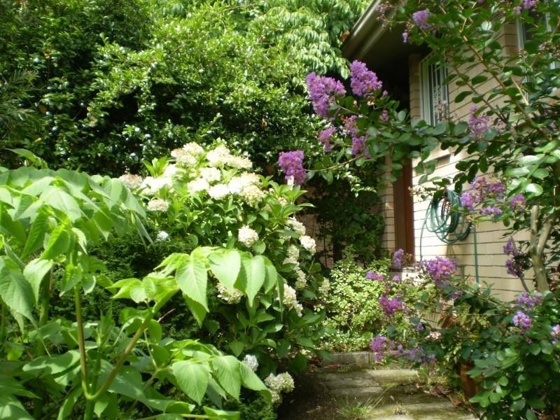 47 Mount View Avenue, Hazelbrook NSW 2779