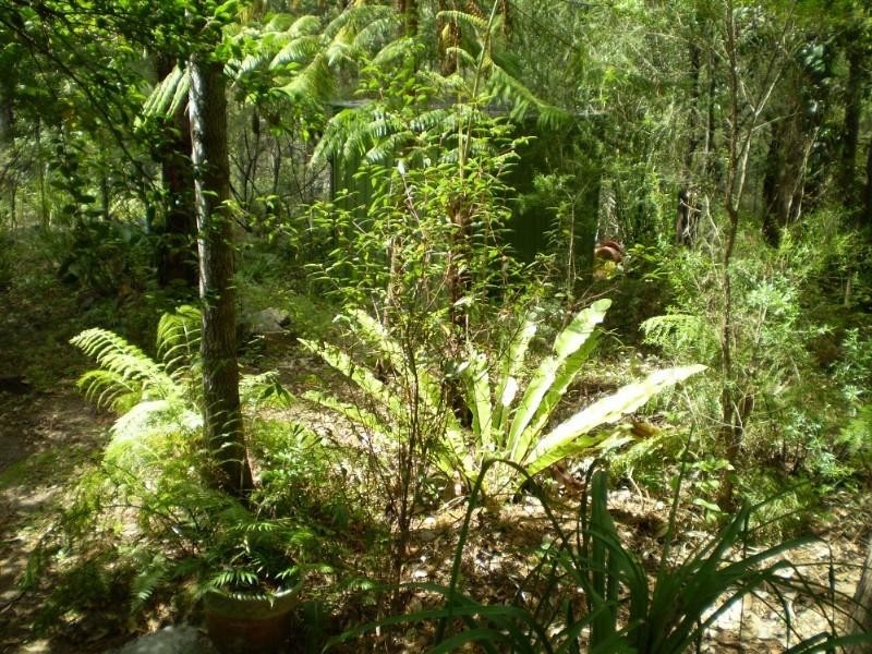 47 Mount View Avenue, Hazelbrook NSW 2779