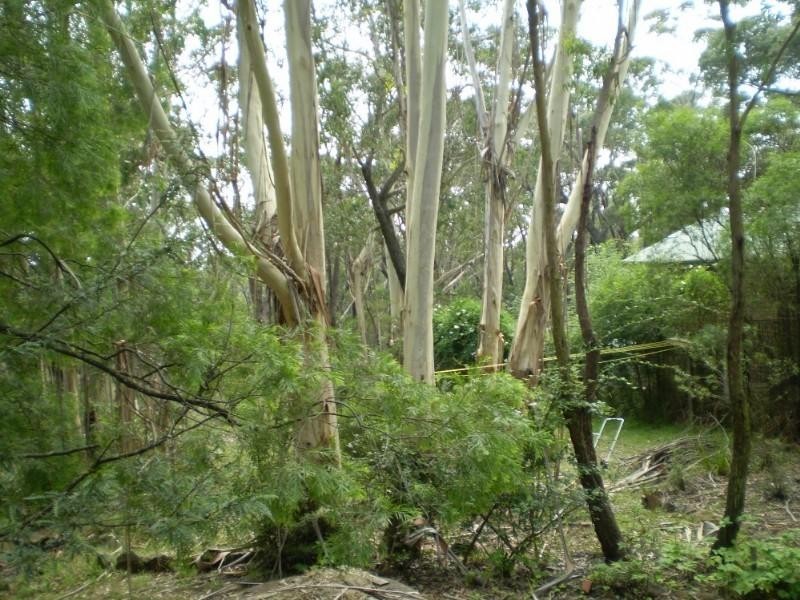 Medlow Bath NSW 2780