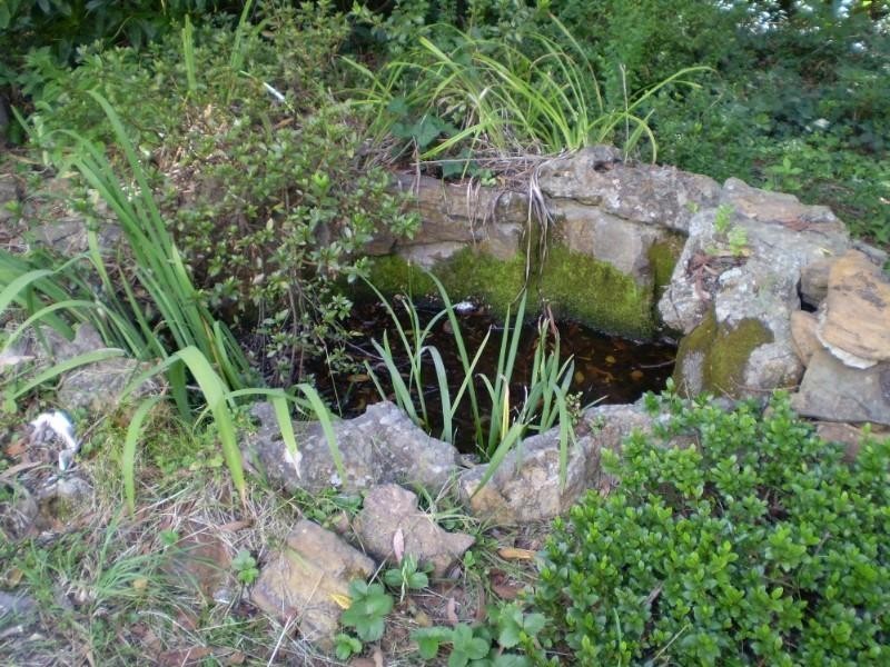 71 Loftus Street, Katoomba NSW 2780