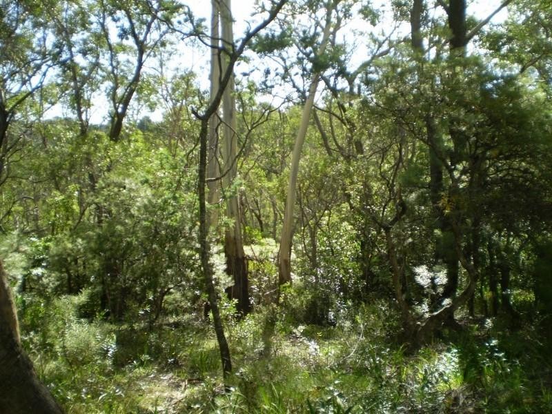 71 Loftus Street, Katoomba NSW 2780